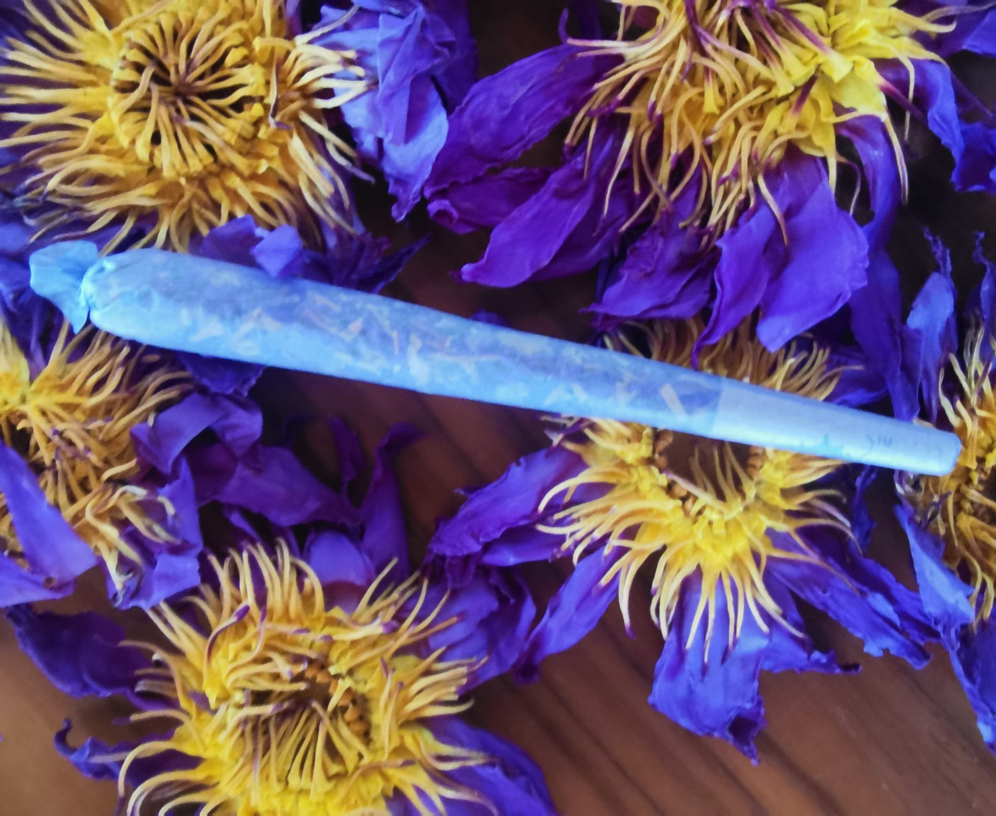 Blue Lotus Pre-Rolls – Pure, Sacred & Ready to Enjoy